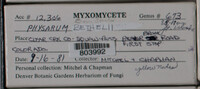 Image Associated With the Occurence